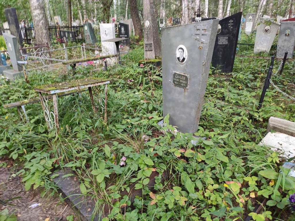 Дунцев Николай Иванович