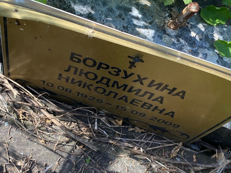 Борзухина