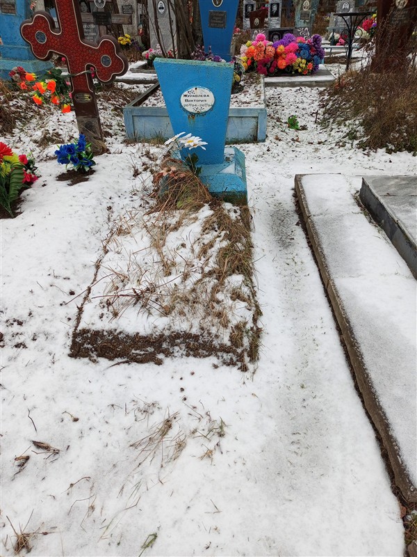 Журавлева Виктория