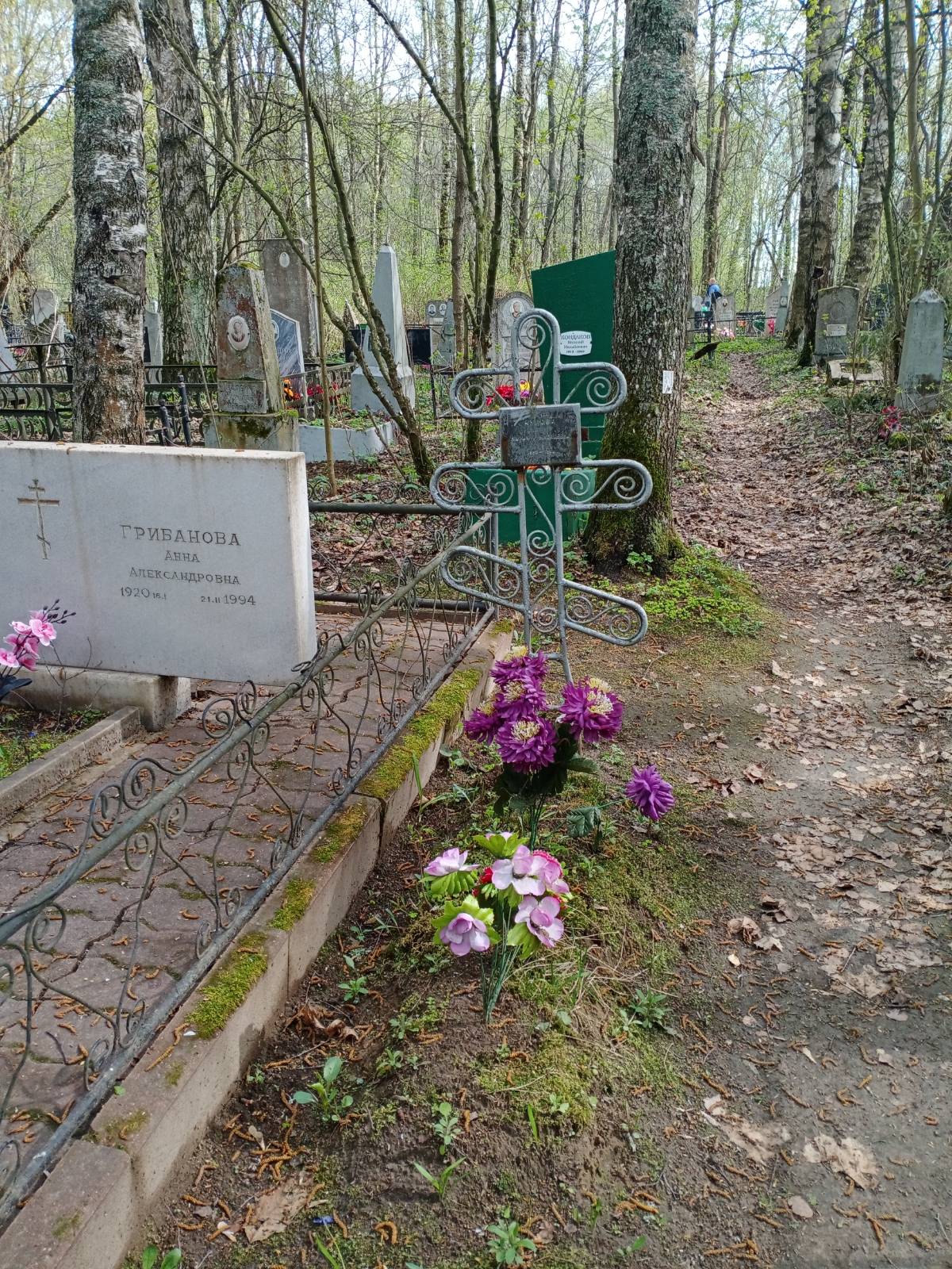 Грибанова Анна Александровна