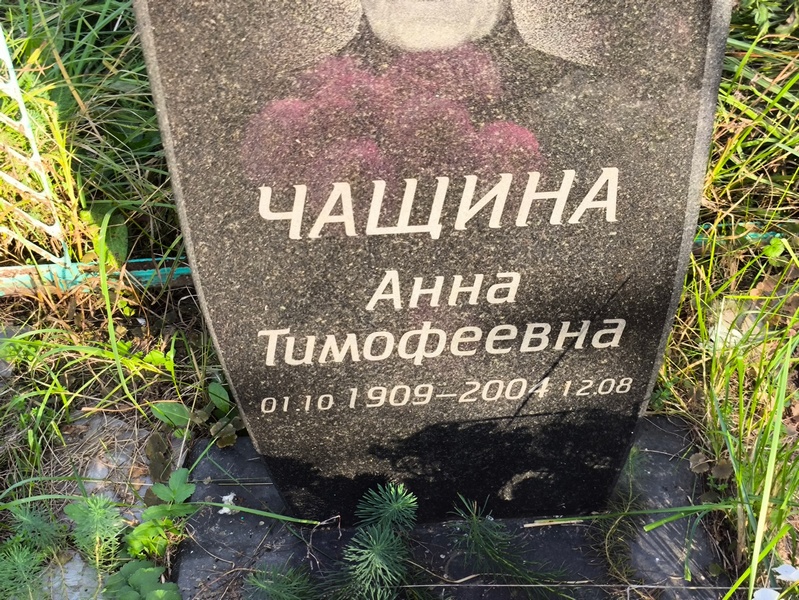 Чащина