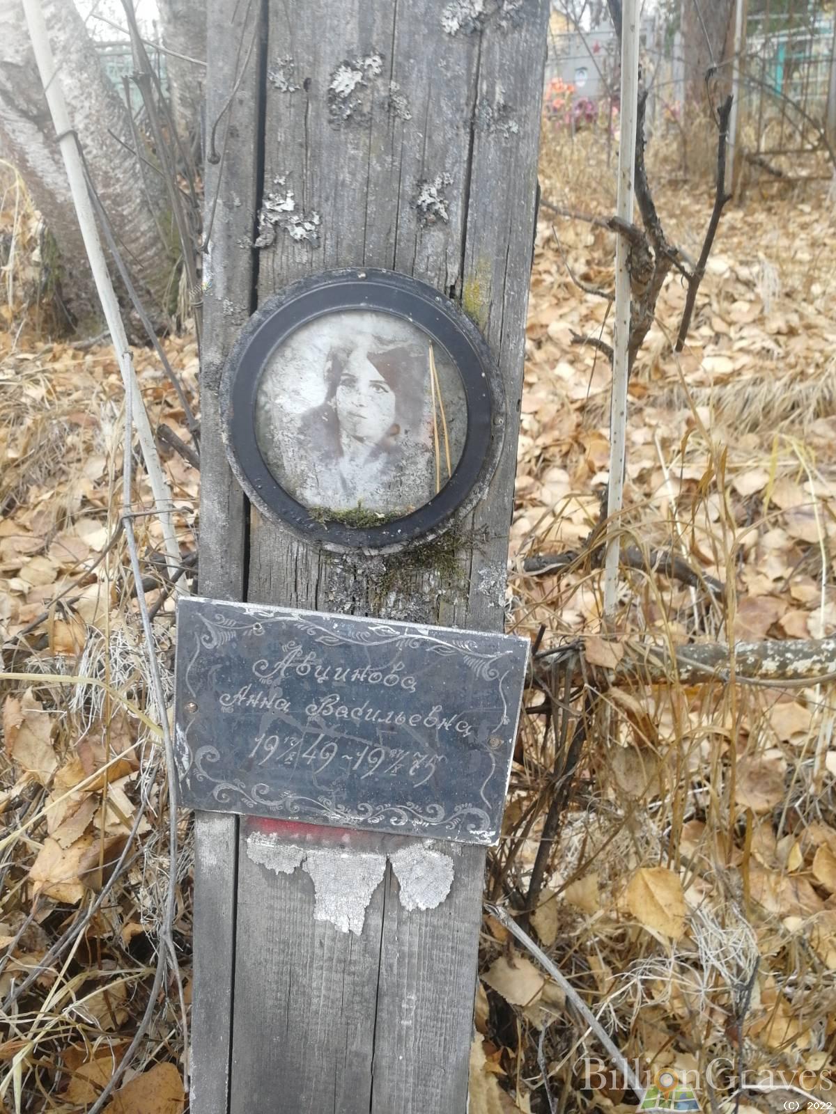 Авцинова Анна Васильевна