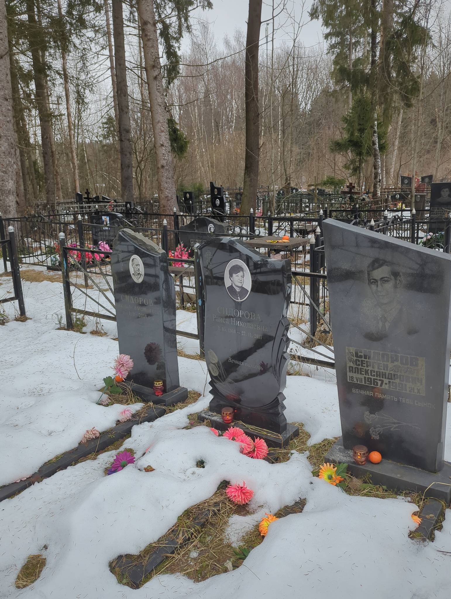 Сидоров Сергей Александрович
