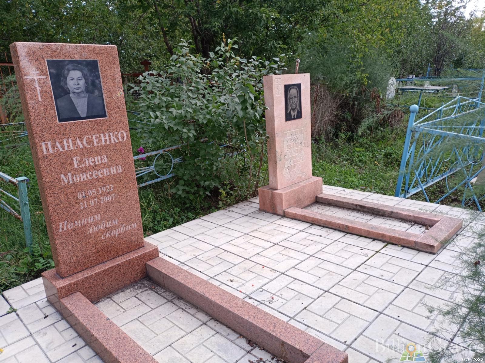 Панасенко Елена Моисеевна