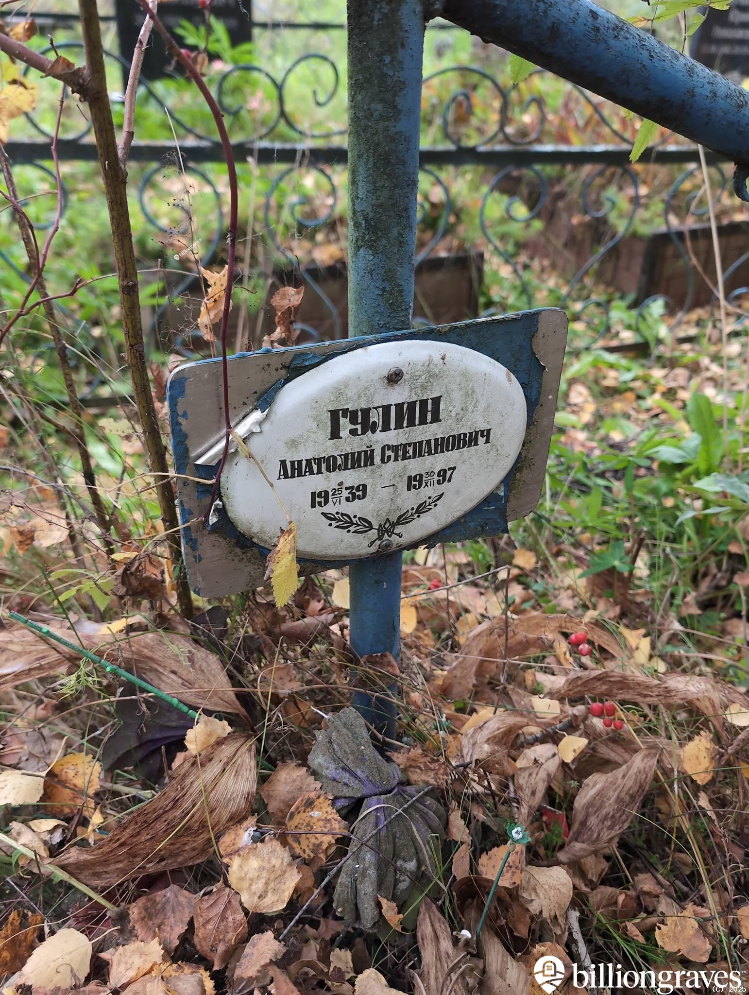 Гулин Анатолий Степанович