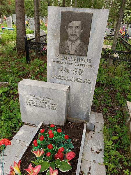 Семененков Александр Сергеевич