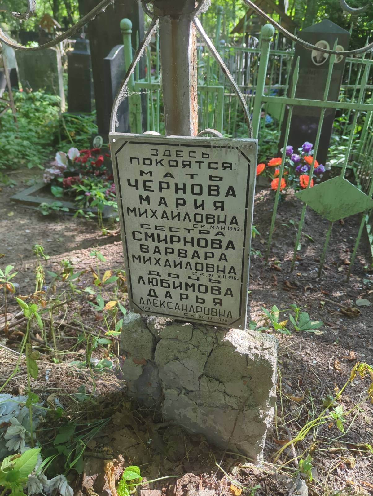 Любимова Дарья Александровна