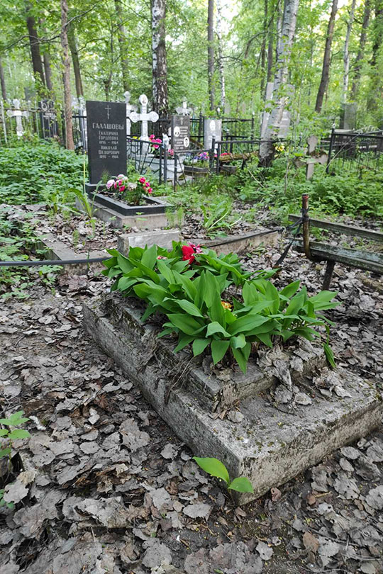Соболева Антонина Степановна