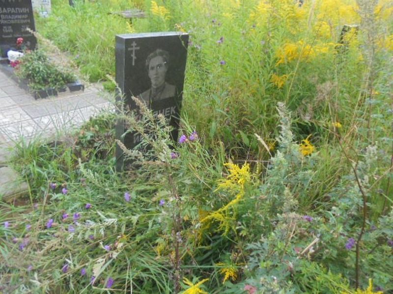 Кирячек Георгий Иванович