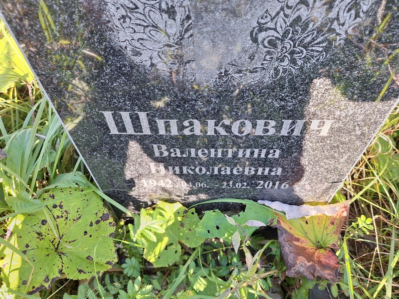Шпакович
