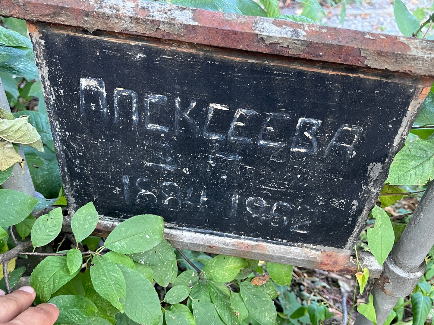 З Алексеева П