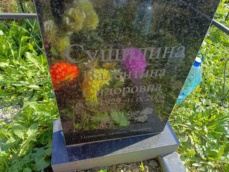 Сушилина