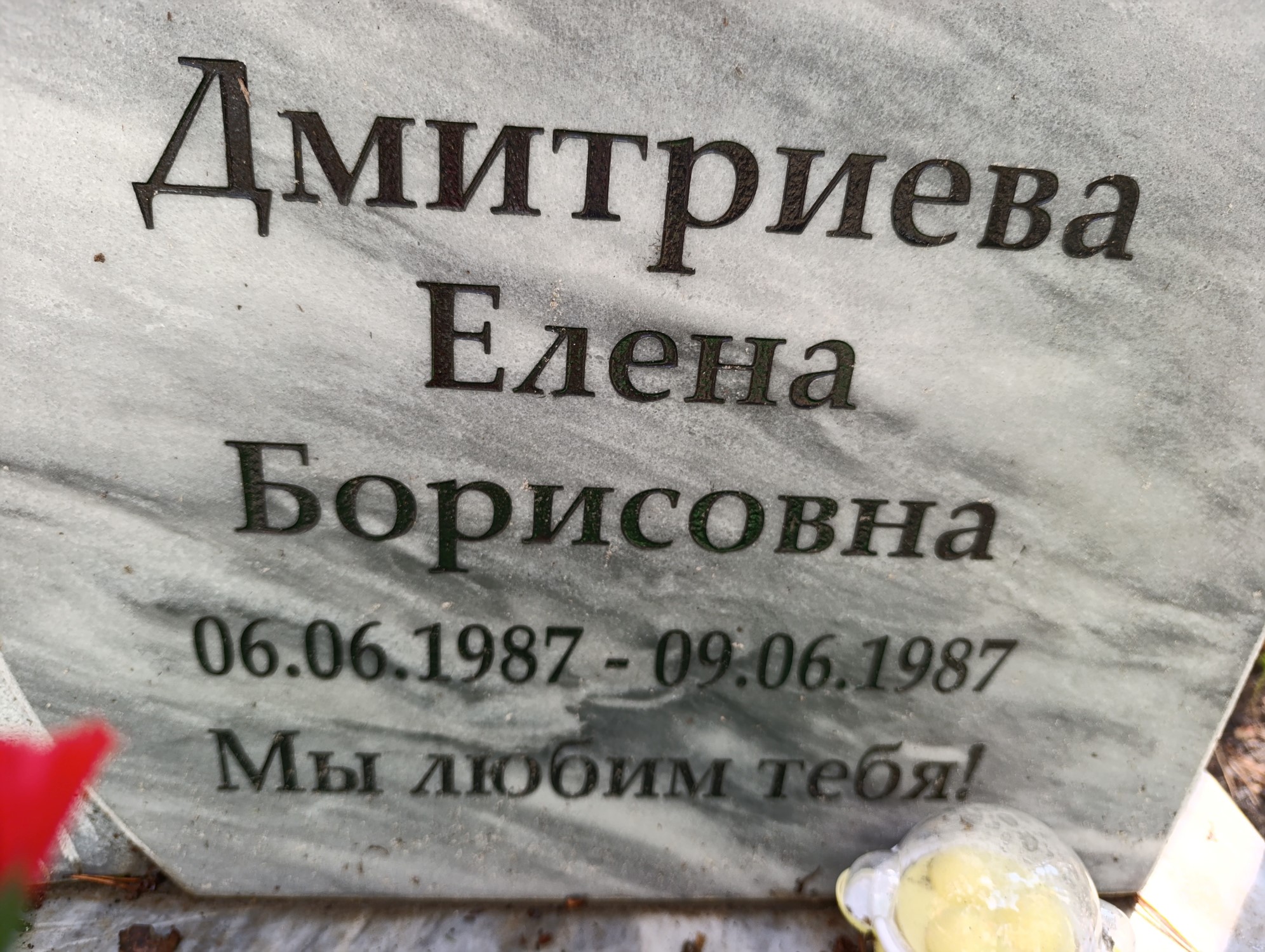 Дмитриева Елена Борисовна
