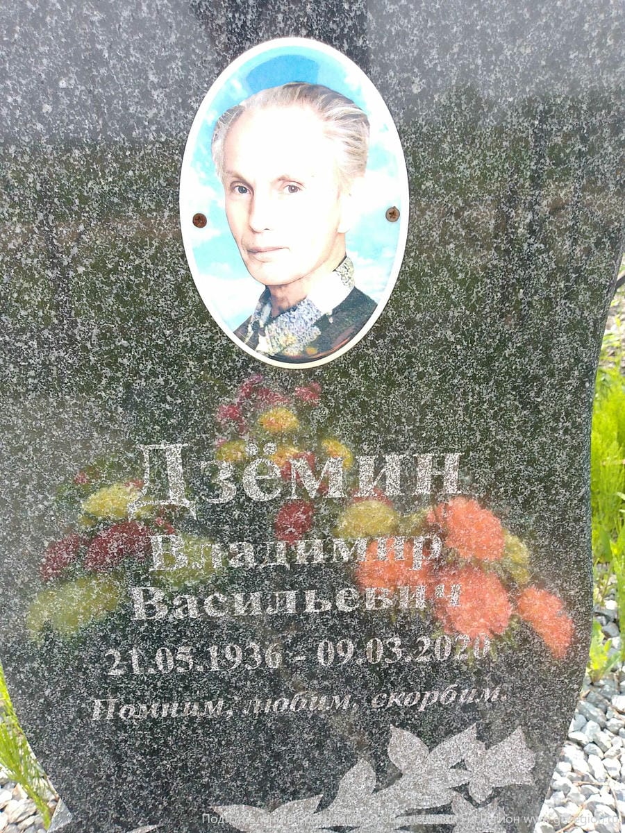 Дзёмин Владимир Васильевич