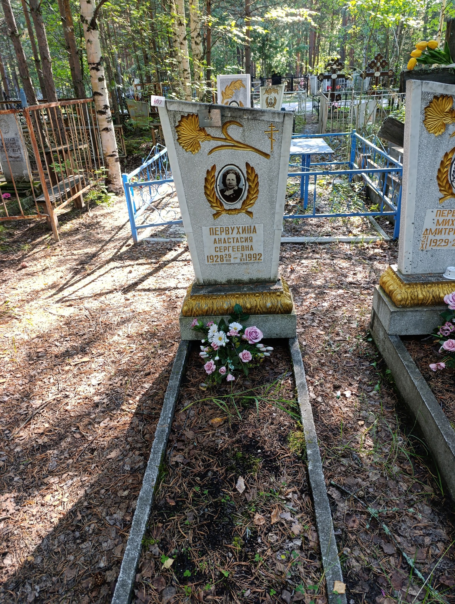 Первухина Анастасия Сергеевна