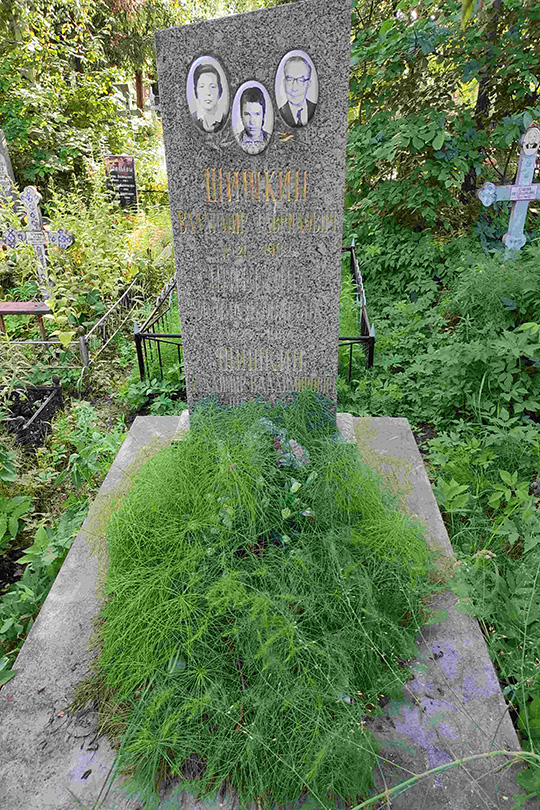 Шишкина Ирина Яковлевна