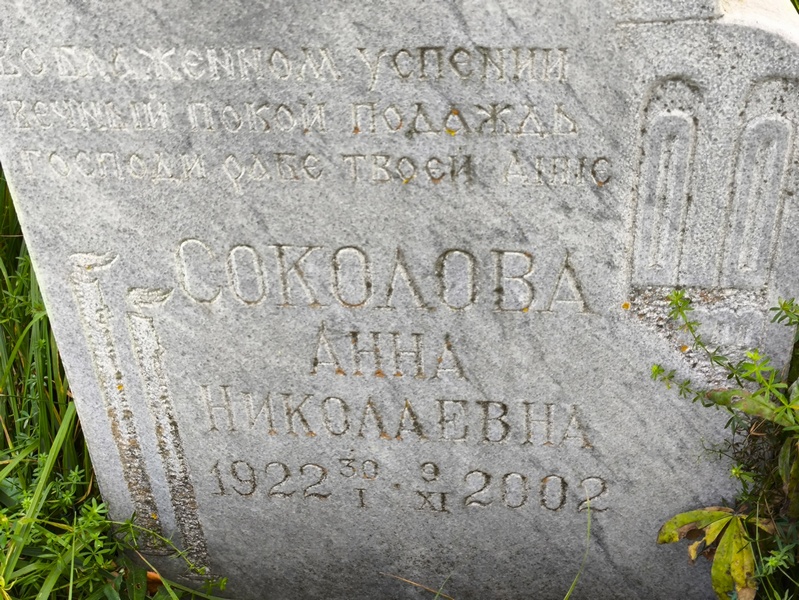 Соколова