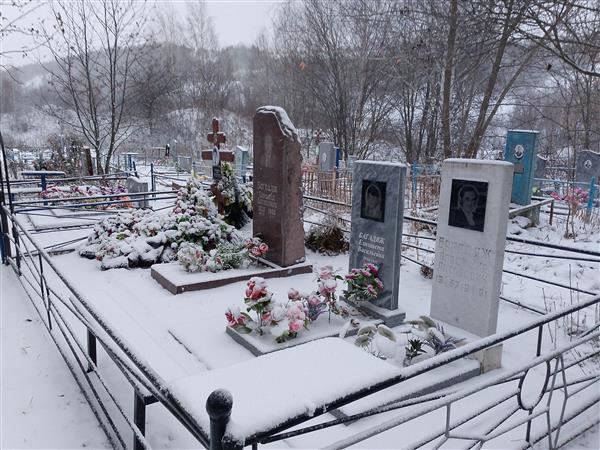 Багадяж Владимир Антонович