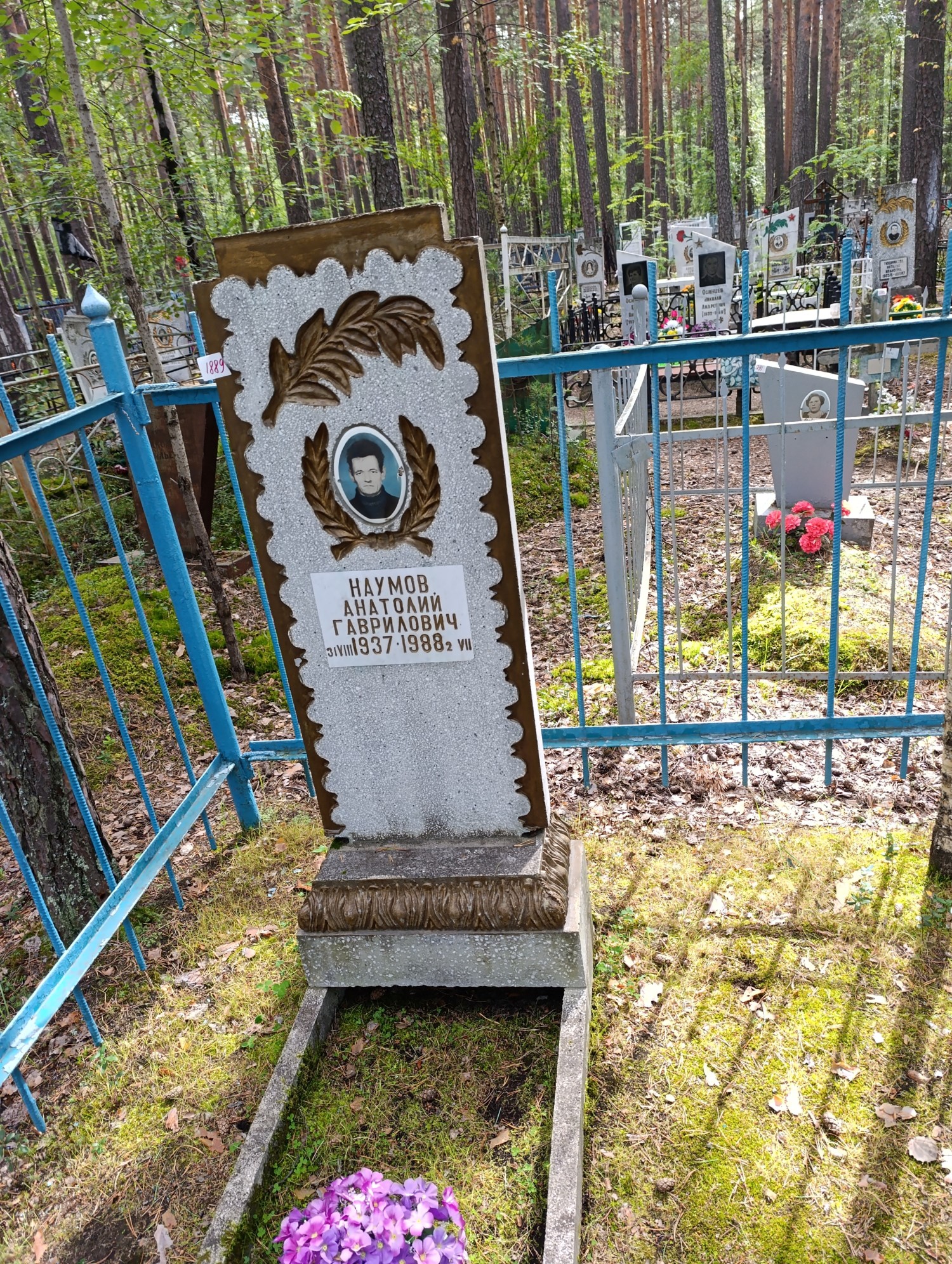 Наумов Анатолий Гаврилович