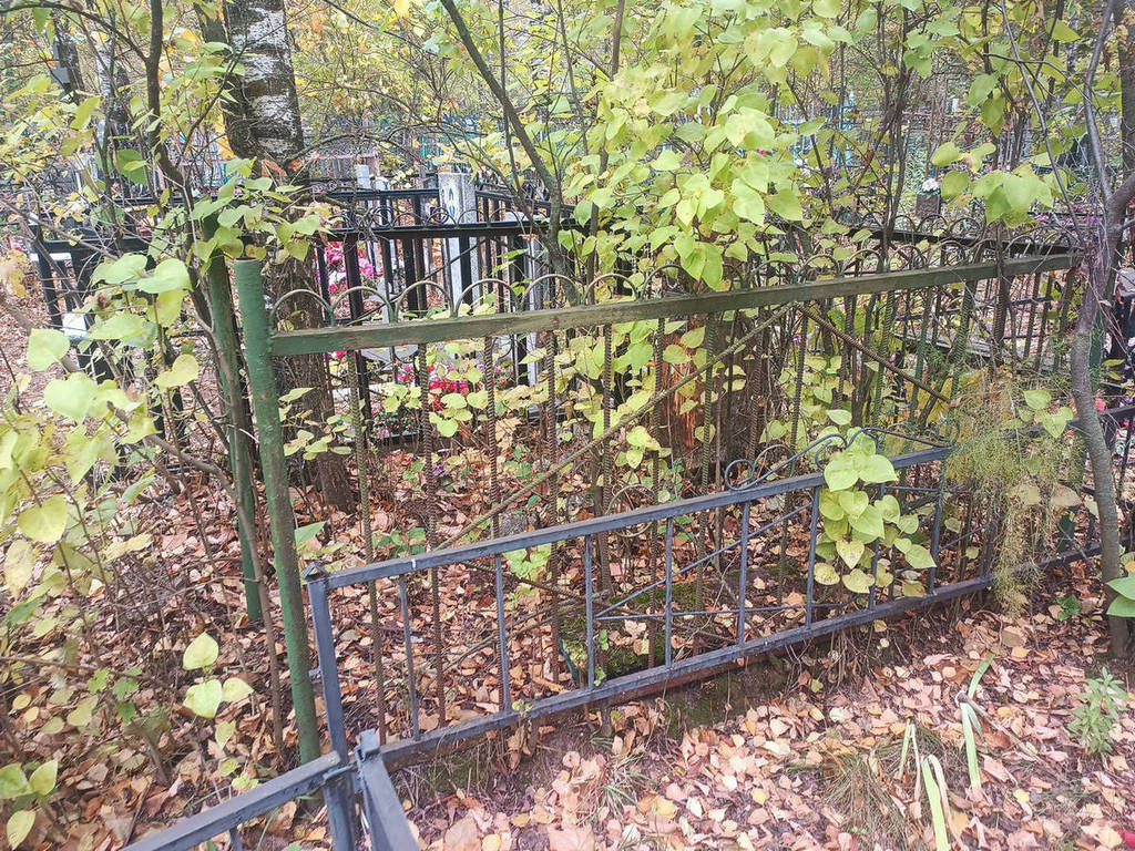 Богатова Александра Михайловна