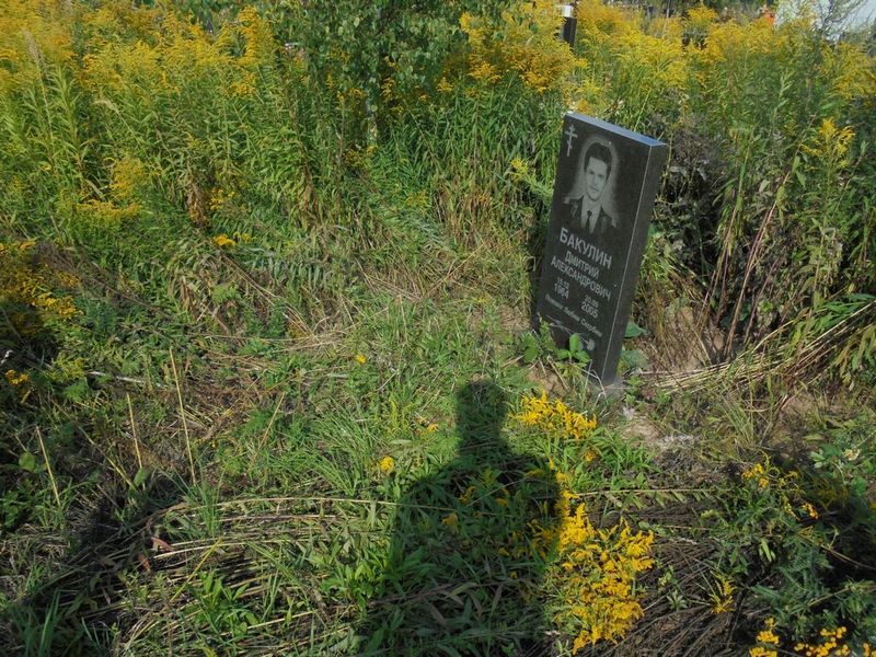 Бакулин Дмитрий Александрович
