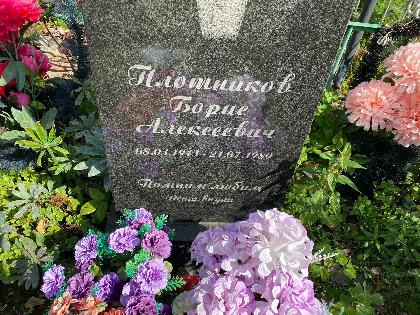 Плотников