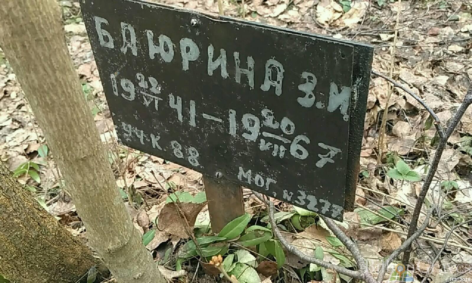 Баюрина З.И.