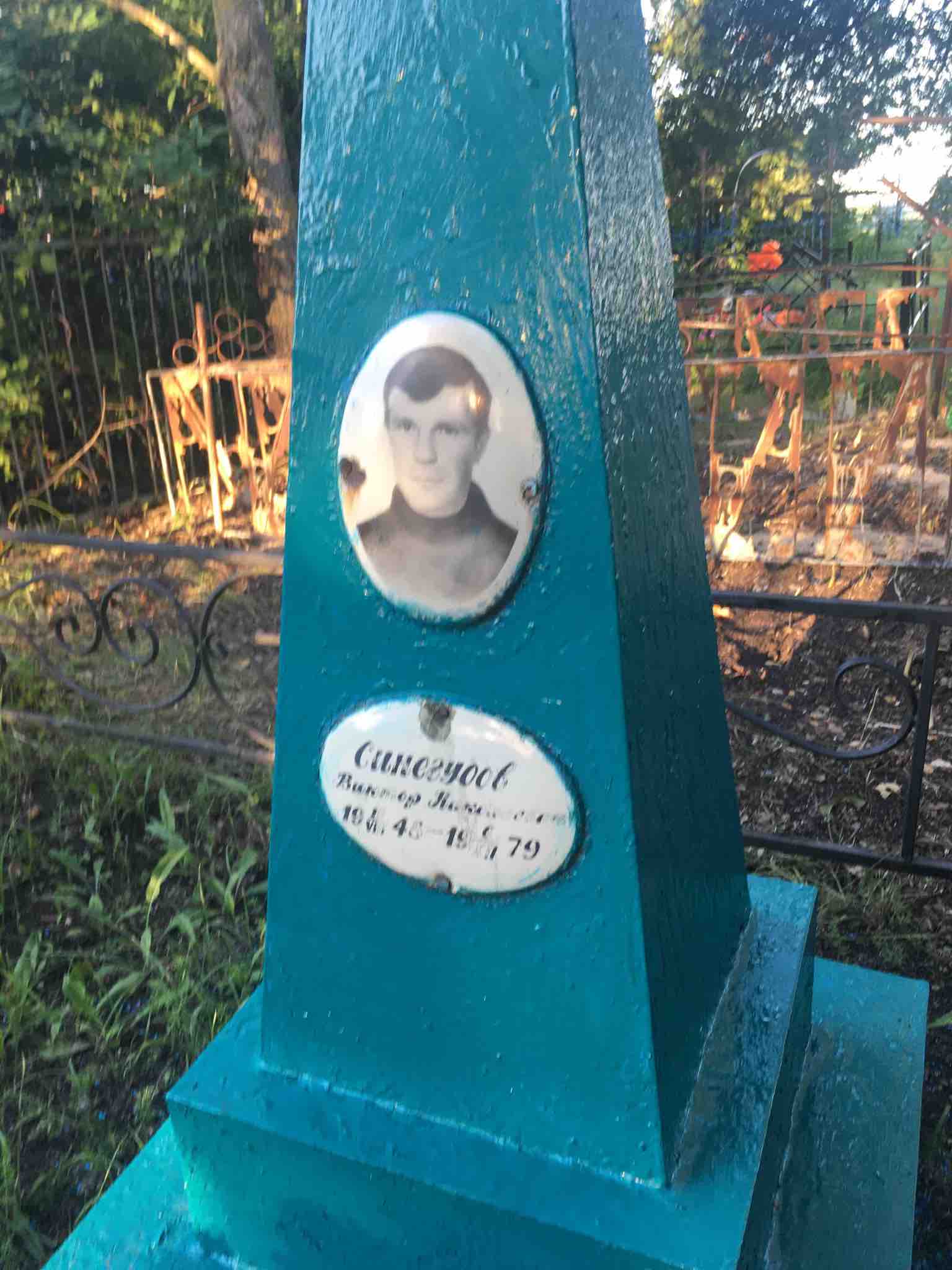 Синегубов Виктор Николаевич