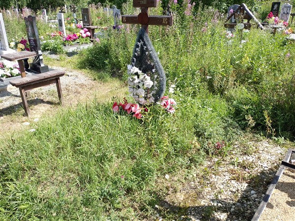 Галиева Евгения Николаевна