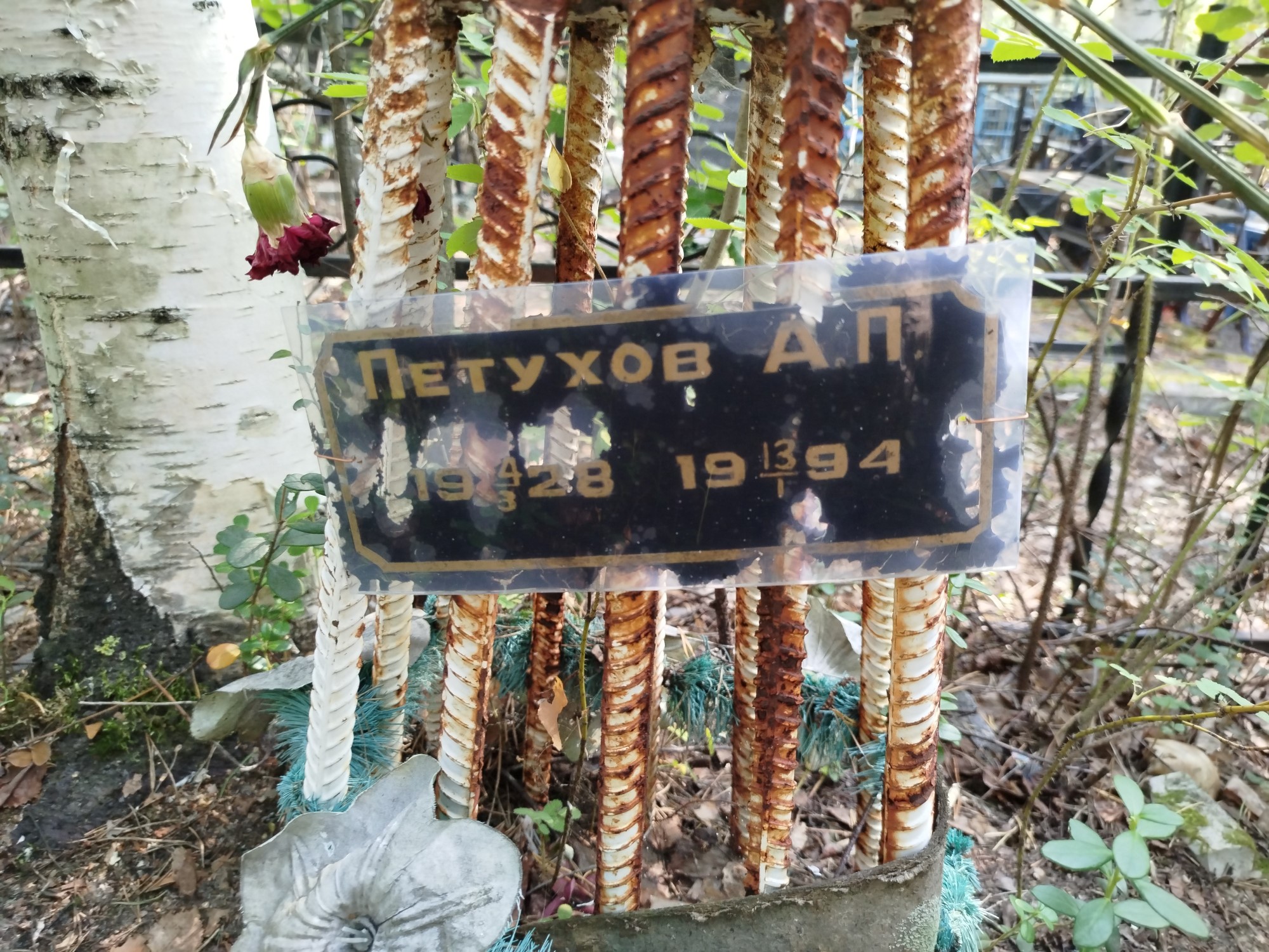 Петухов А П
