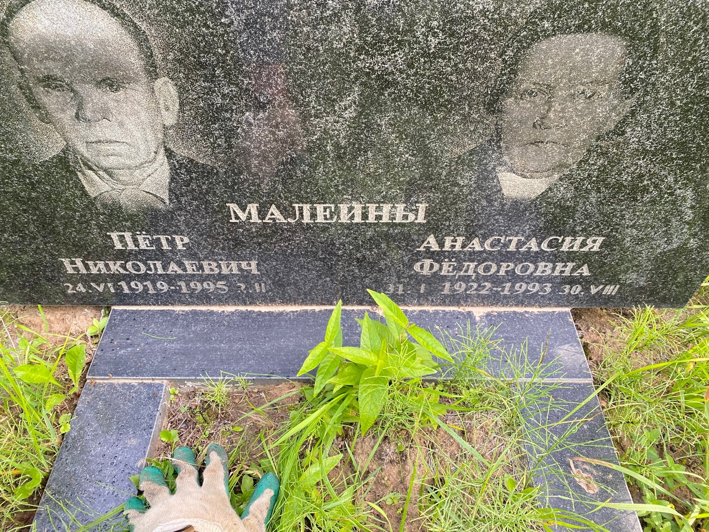 Малеин