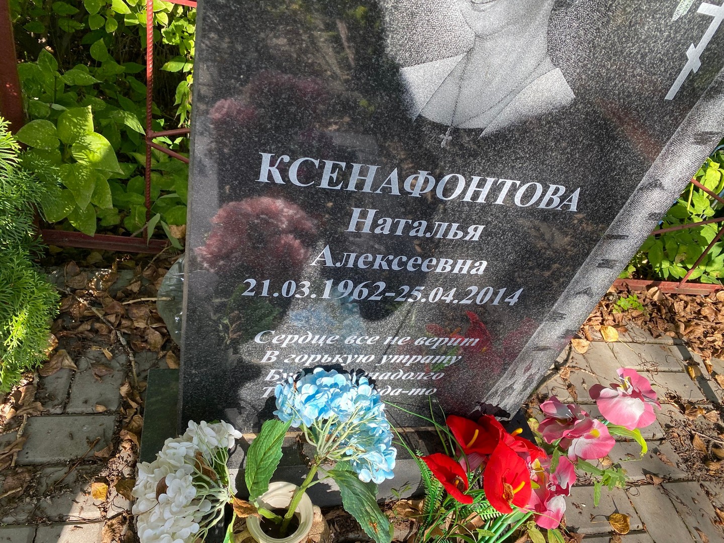 Ксенафонтова