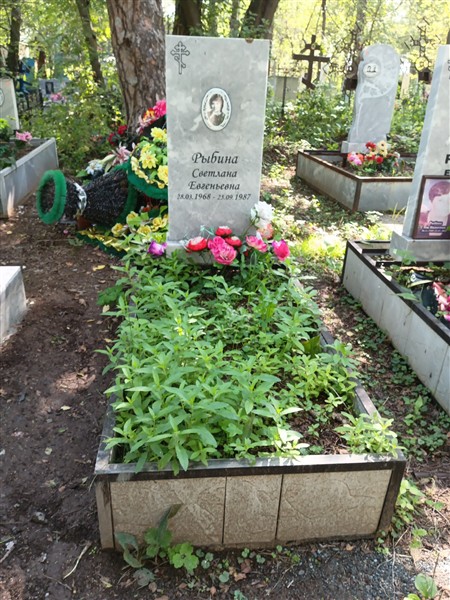 Рыбина Светлана Евгеньевна
