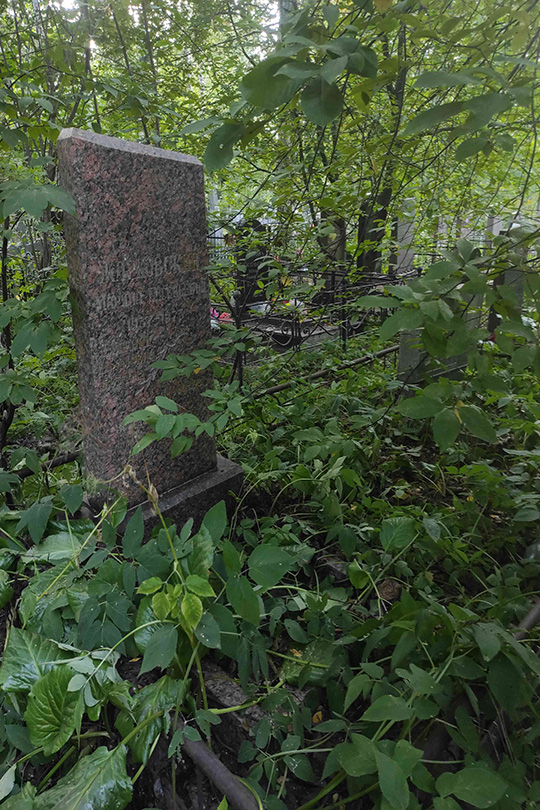 Жарковская Бася Абрамовна