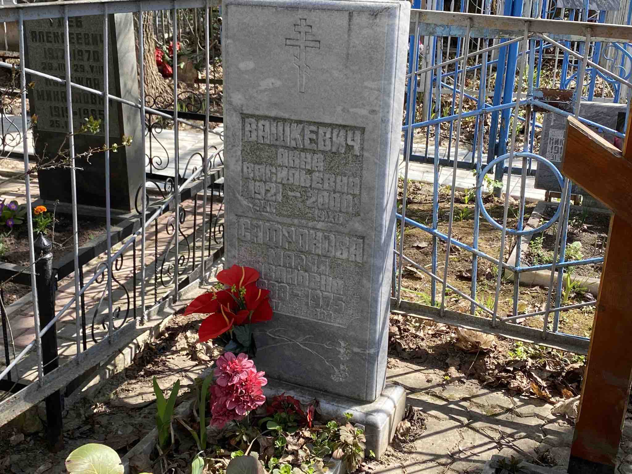 Вашкевич Анна Васильевна