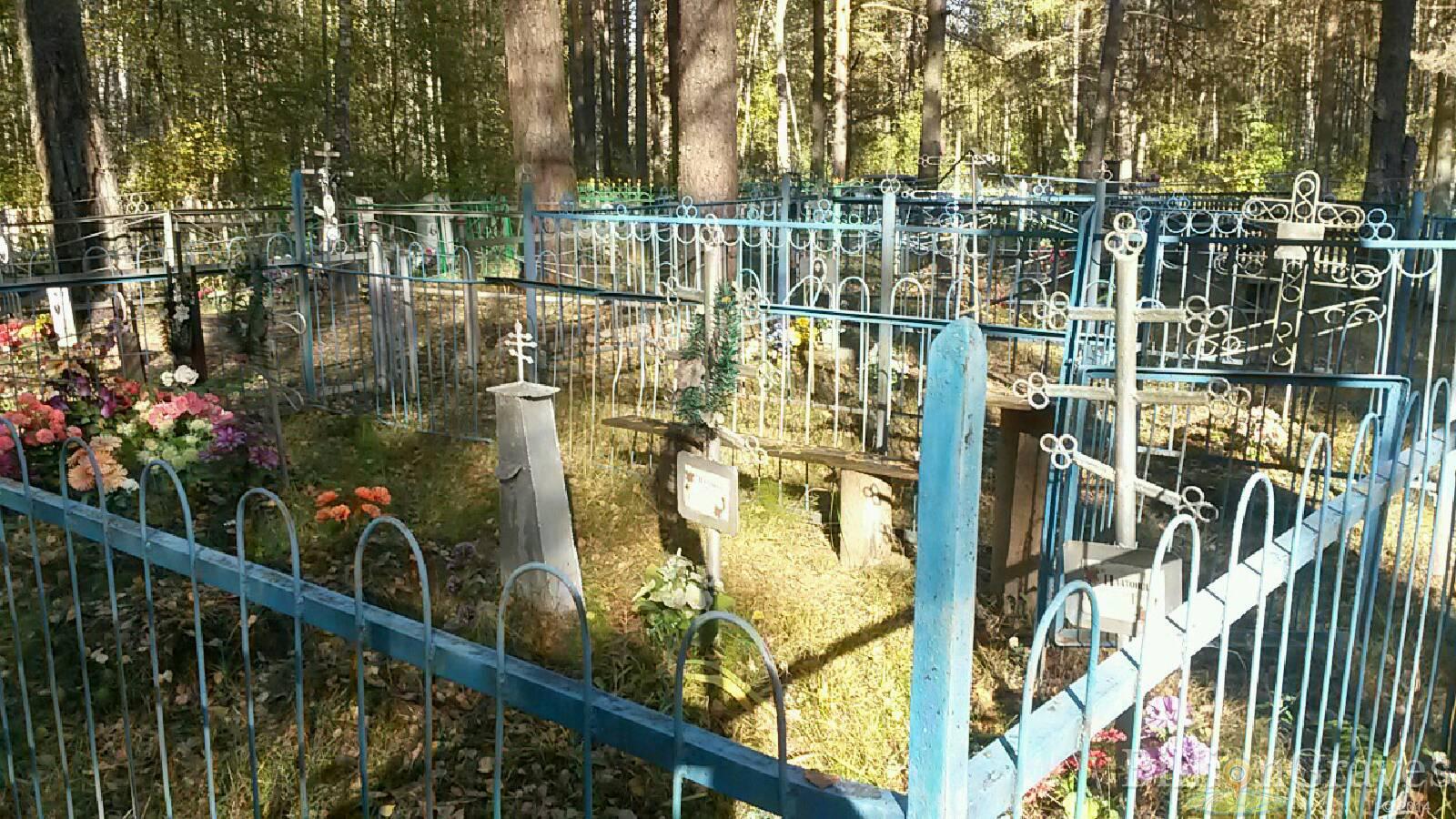Каржова Александра Николаевна