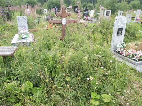 Крашенинников Юрий Александрович