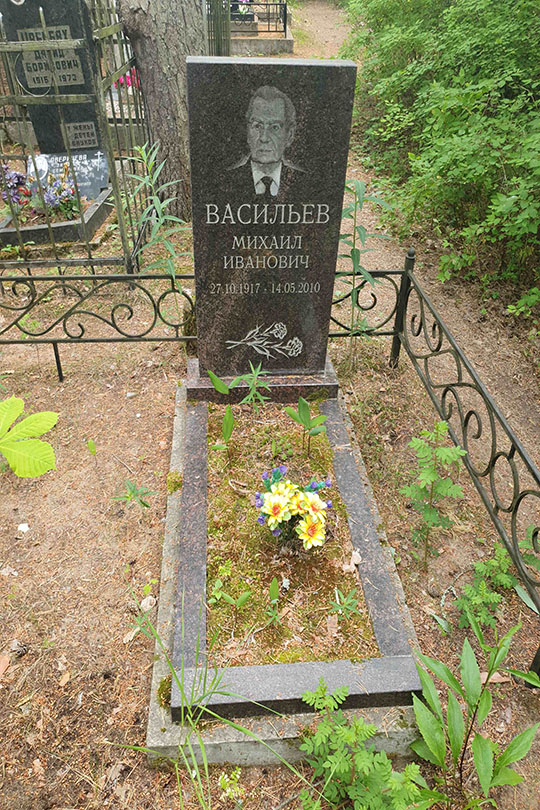 Васильев Михаил Иванович