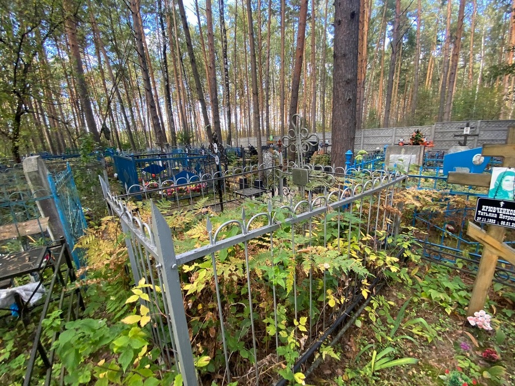 Синева Лидия Федоровна