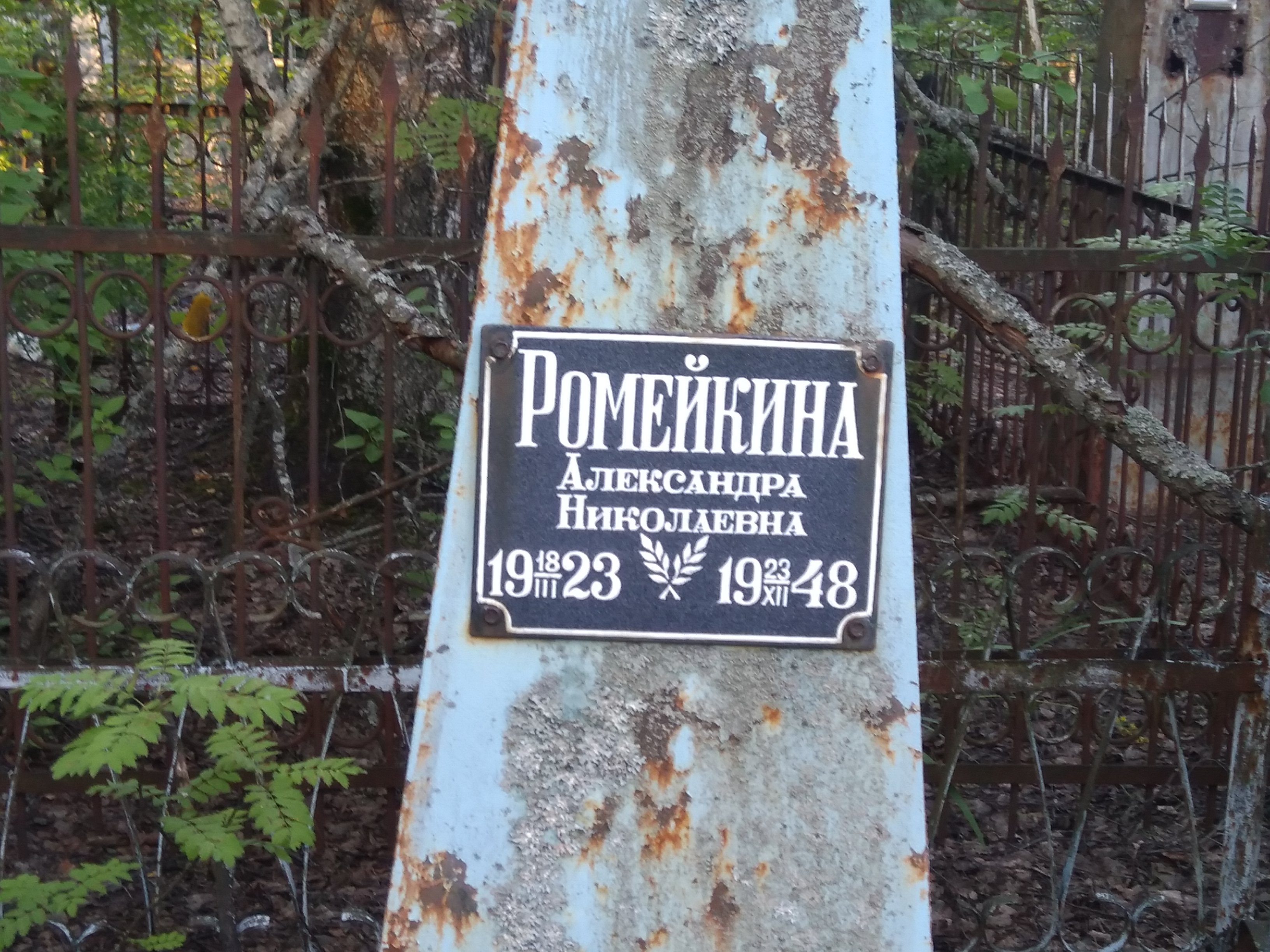 Ромейкина Александра Николаевна