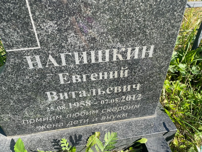 Нагишкин