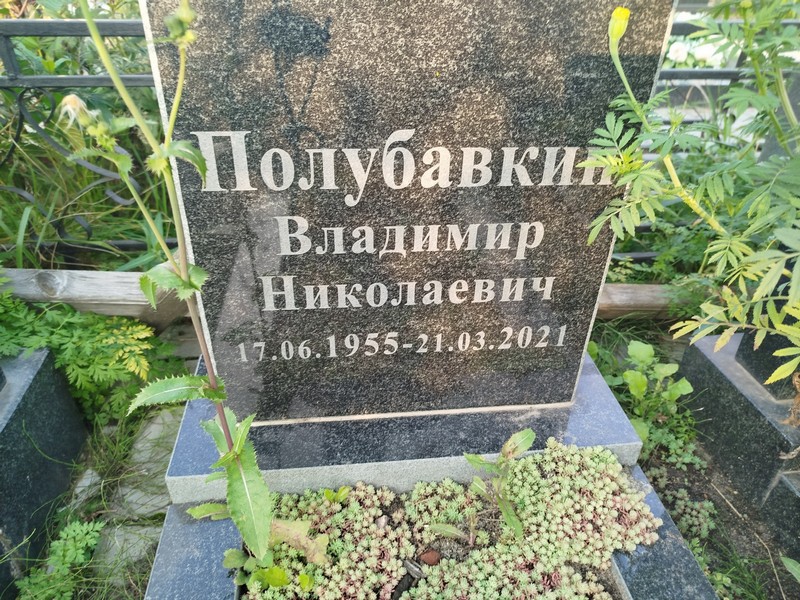 Полубавкин