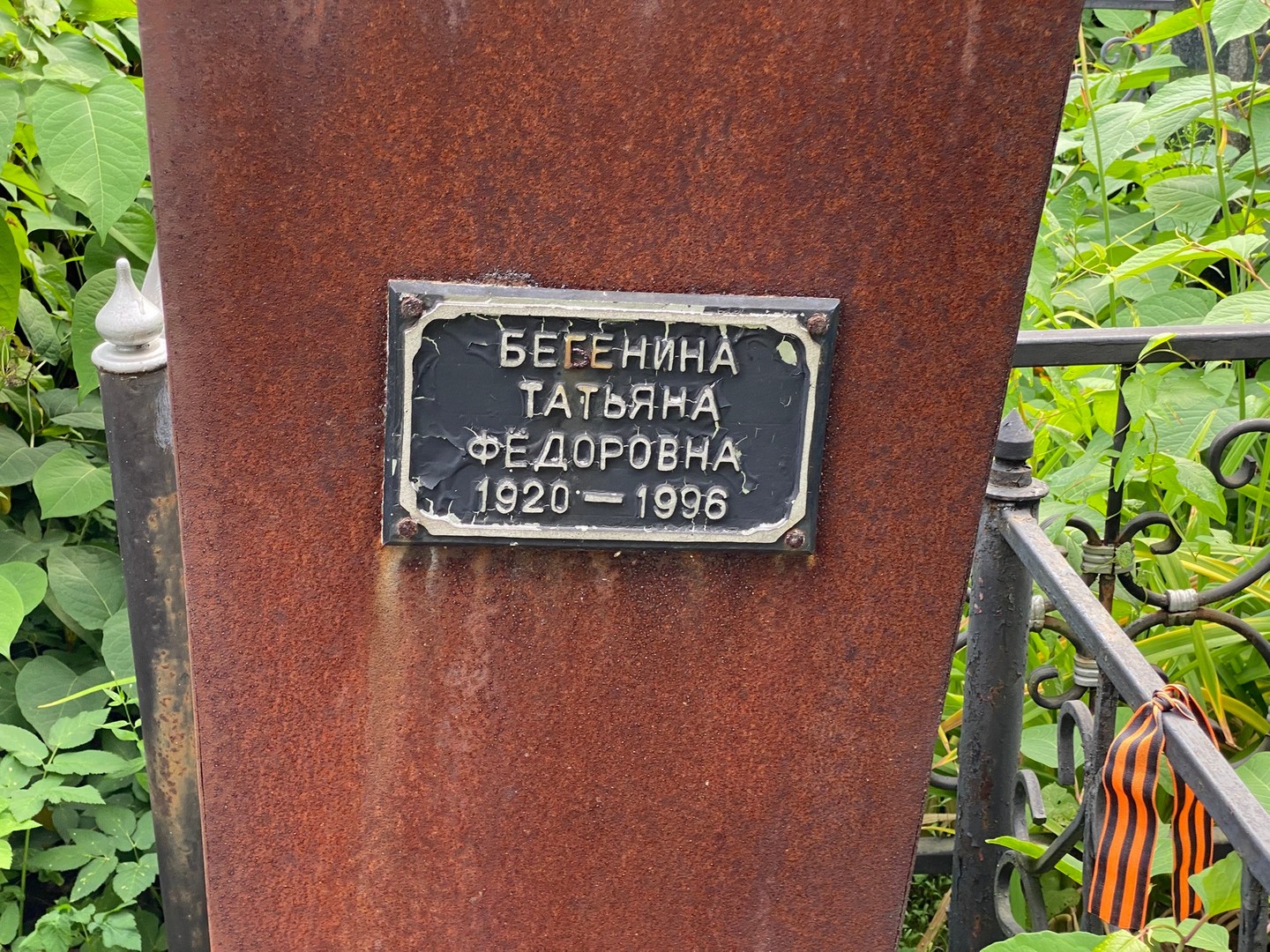 Бегенина