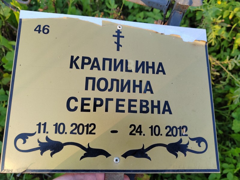 Крапивина