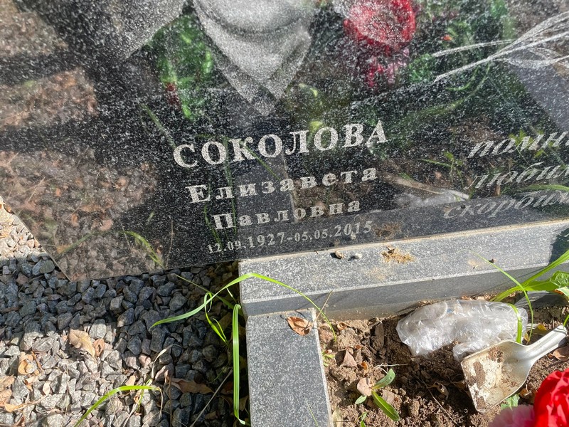 Соколова