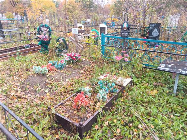 Швенк Пётр Васильевич