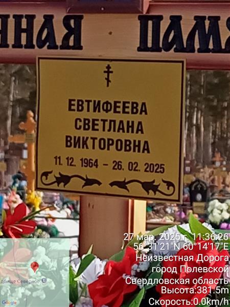 Евтифеева Светлана Викторовна