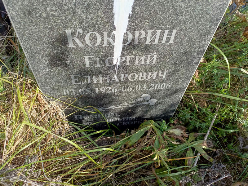 Кокорин