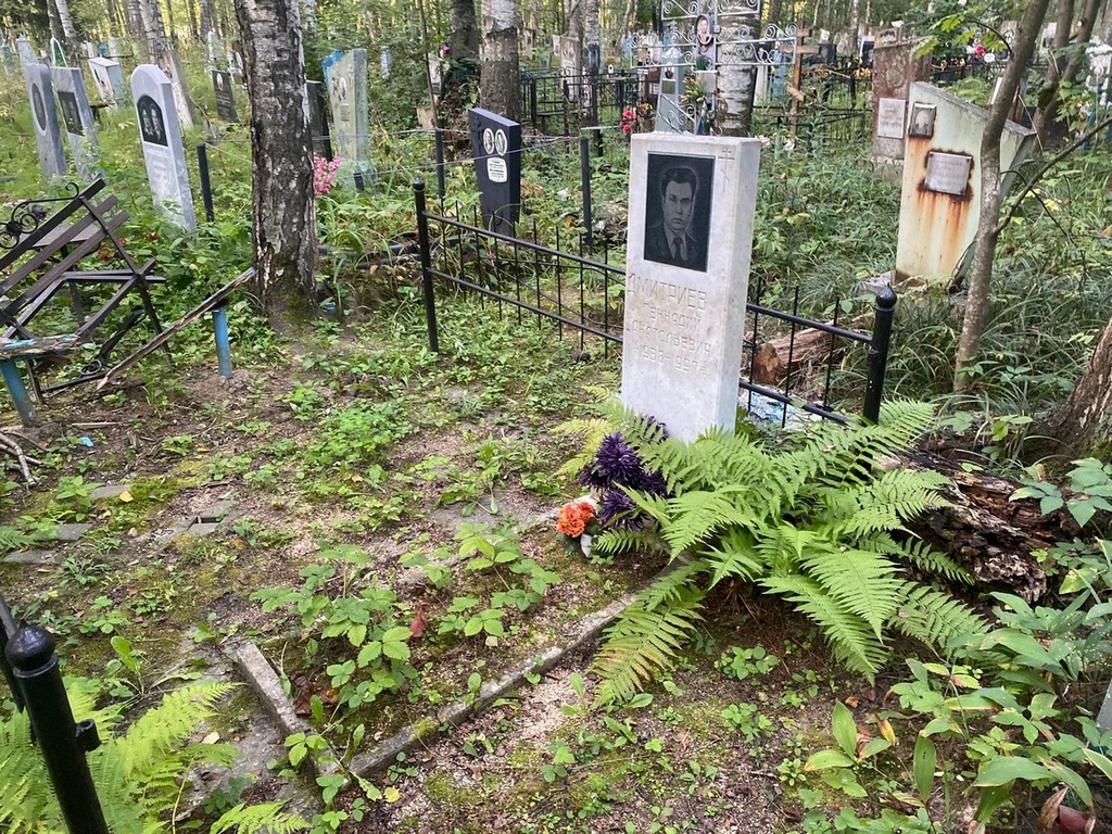 Дмитриев Геннадий Анатольевич