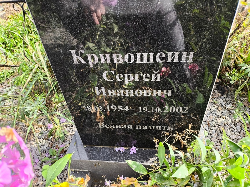 Кривошеин